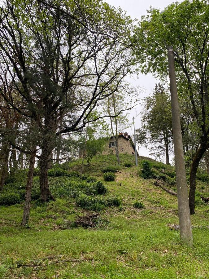 Naturemugello Oasi Naturista Dicomano Екстер'єр фото