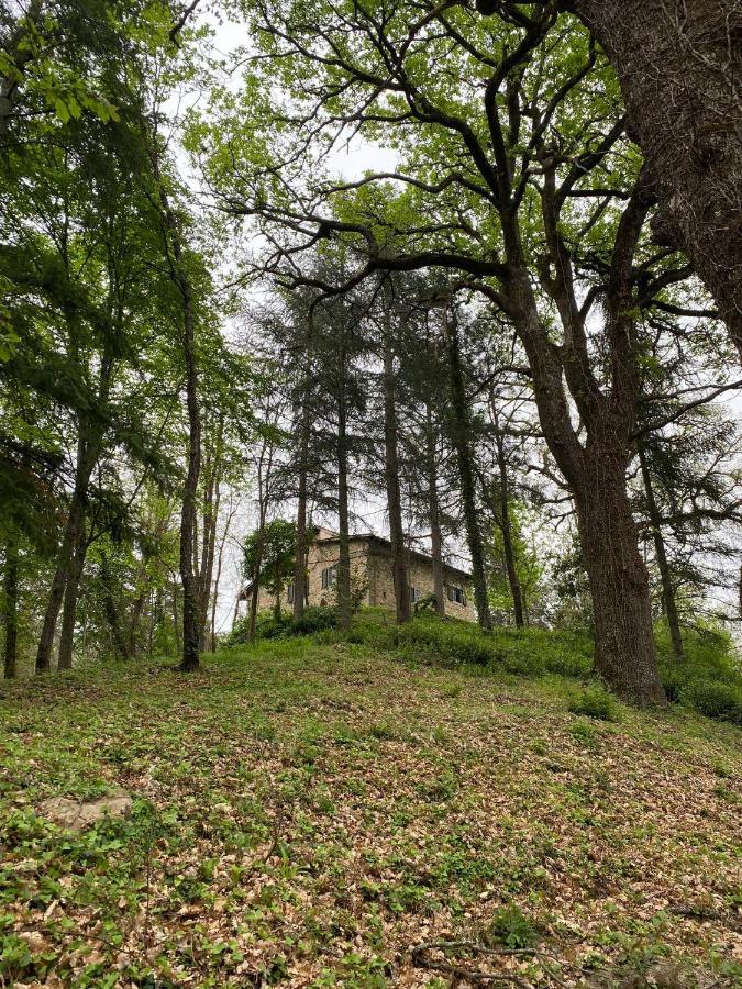 Naturemugello Oasi Naturista Dicomano Екстер'єр фото